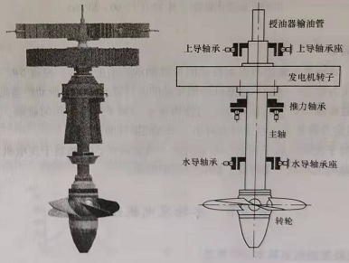 立式水輪發(fā)電機組軸系結(jié)構(gòu)示意圖